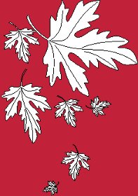 01-foglie