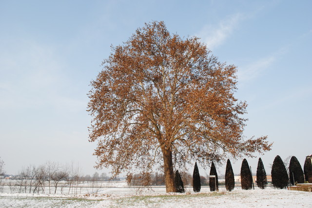 Foto di Alberto Bramati