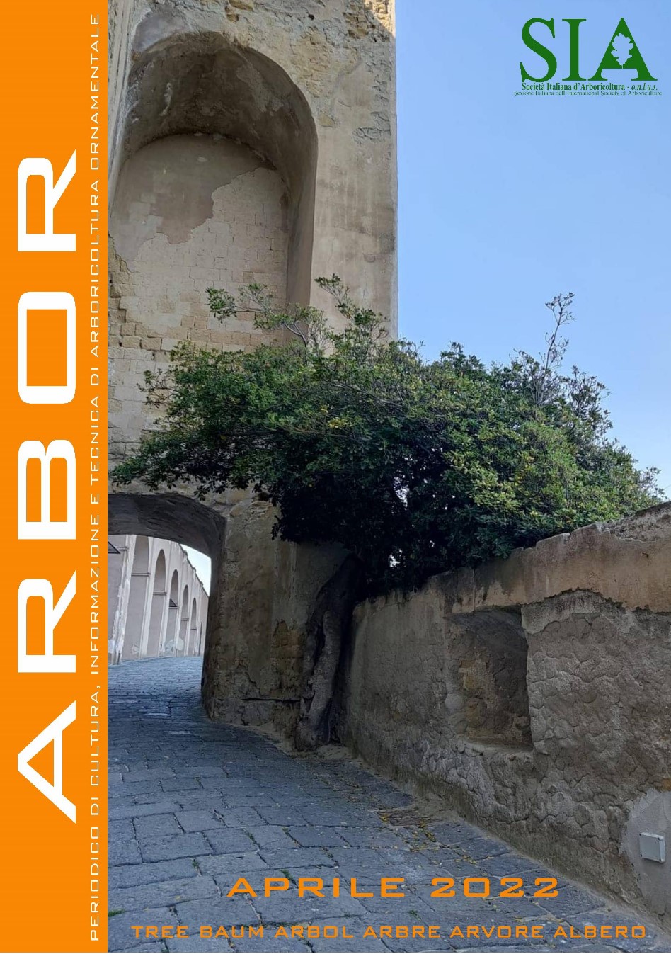 Arbor1 2022