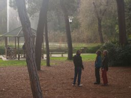 arbor-day-2014
