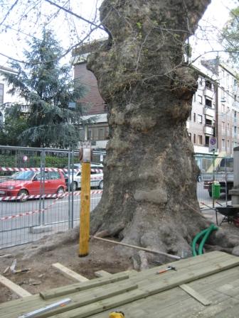 Cantiere